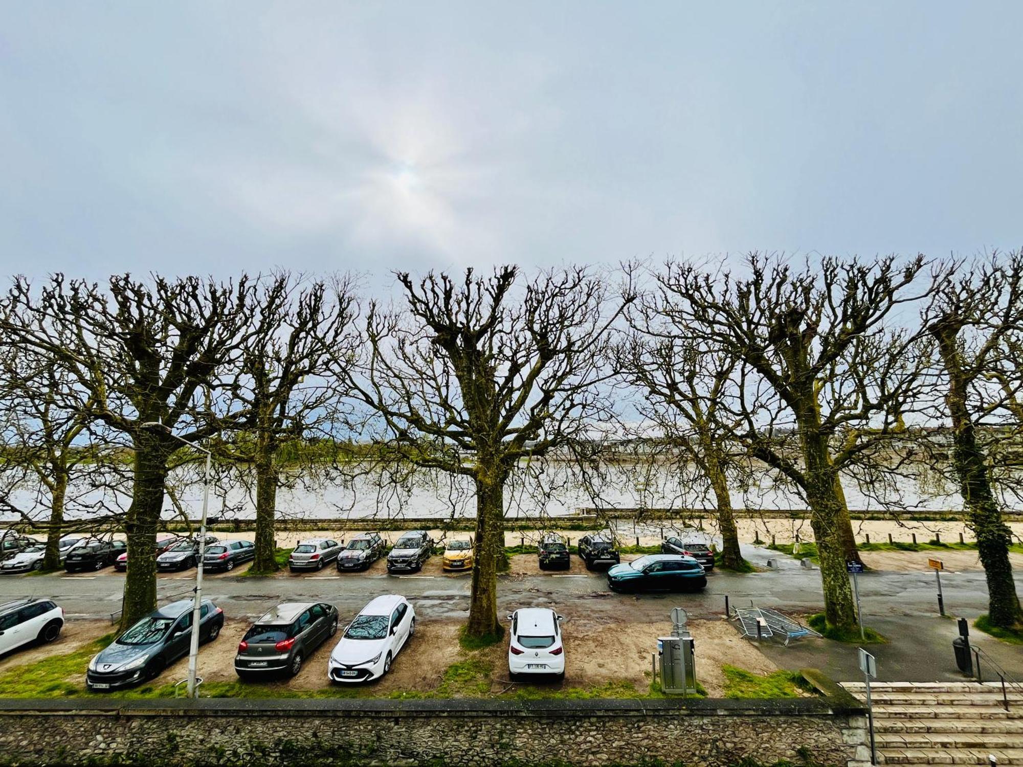 Hypercentre, Quai De Loire, Lumineux, Spacieux, Familial, Le Jehan De Saveuse Blois Exterior foto